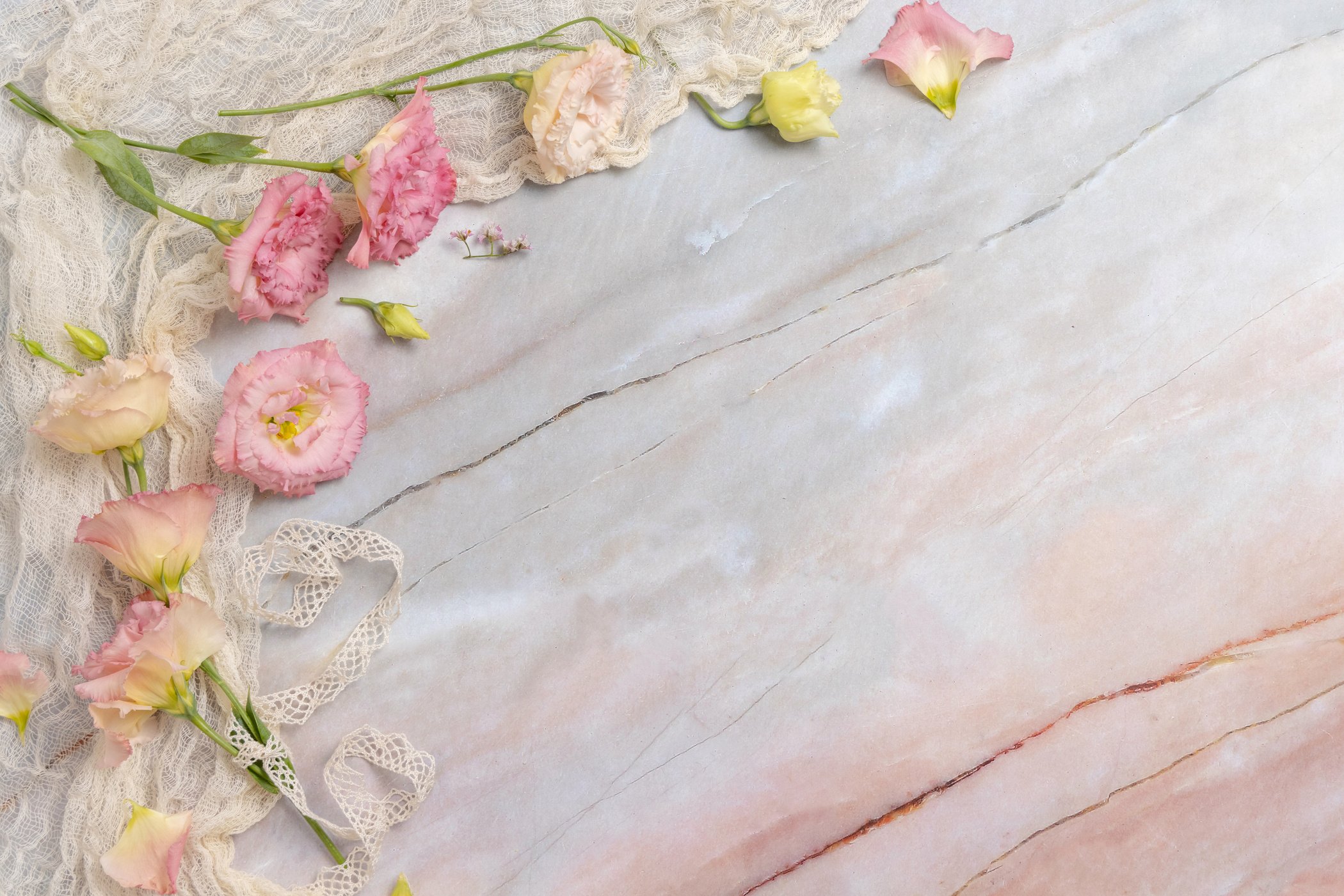 Pink Flowers on Marble Table Top View